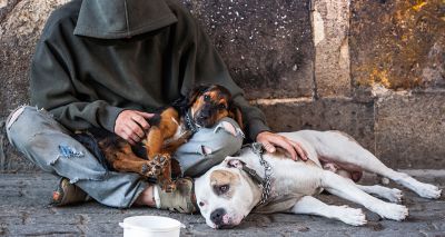 NOAH names StreetVet as its charity of the year