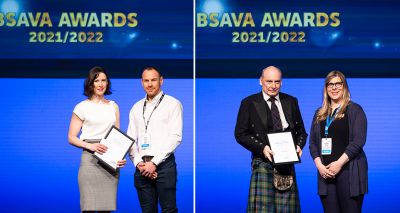 RVC specialists win at BSAVA awards