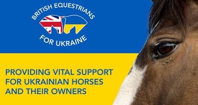 Donations flood in for Ukraine equine appeal