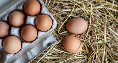 Free-range eggs no longer for sale in supermarkets