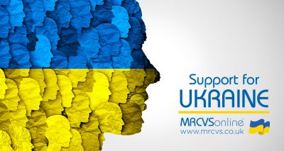 Support for Ukraine: Making connections