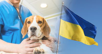 BSAVA, CSAVA and USAVA help Ukrainians to attend EuroCongress