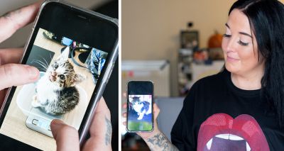 Documentary sheds light on kitten con artists