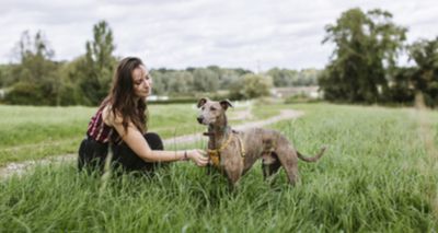 Big Pet Census launched by Blue Cross