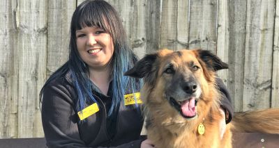 Dogs Trust extends Home from Home Scheme in Scotland