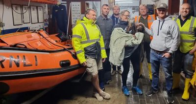 RNLI rescues spaniel stuck in cove