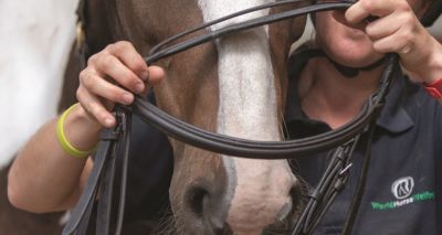 Webinar to explore bridle fit