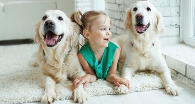 Dogs may protect toddlers against Crohn's disease – study