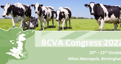 BCVA reveals Congress programme for 2022