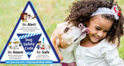 RSPCA gives advice on child safety around dogs