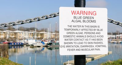 Vets issue toxic blue-green algae warning