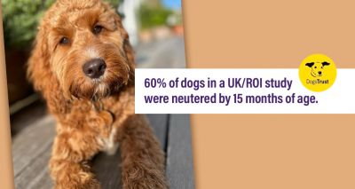 Generation Pup study shares data on dog neutering