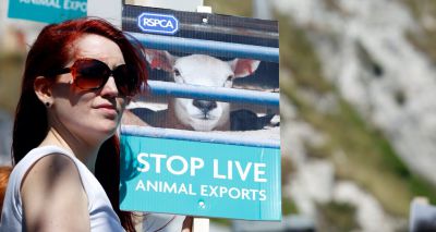 RSPCA celebrates 200 years of animal welfare legislation