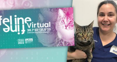 ISFM reveals feline congress details