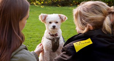 New guidance recognises link between domestic abuse and pets