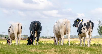 Farm vets urge government action on labour shortages