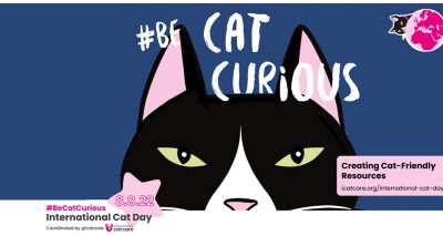 iCatCare announces theme of International Cat Day campaign