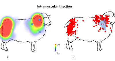 Study reveals extent of suboptimal vaccination practice in sheep