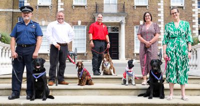 Five dogs awarded PDSA Order of Merit