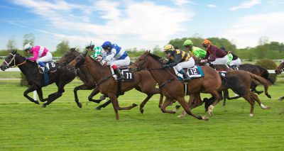 Behavioural study seeks to improve racehorse welfare