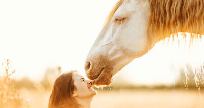 Winners revealed for International Pet Photographer of the Year