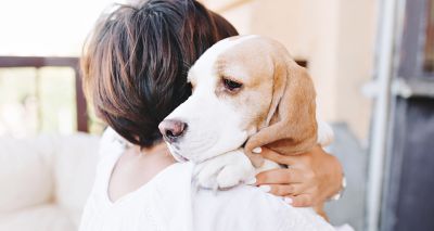 Dogs shed tears of joy when reunited with owners, research finds