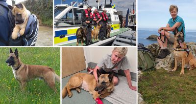 Retired Police dog pulls through after emergency surgery