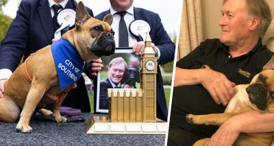 Westminster dog award dedicated to Sir David Amess