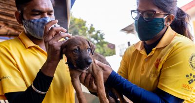 Mission Rabies celebrates vaccination milestone