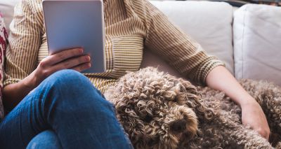 Half of pet owners would seek behaviour advice online, survey finds