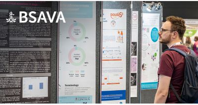 BSAVA opens Clinical Abstracts submissions