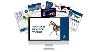 New strangles resources for veterinary practices