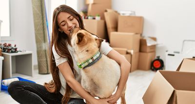 Dogs Trust calls for protections for renters with pets