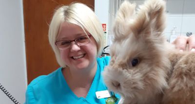 Rabbit Vet Awards deadline extended