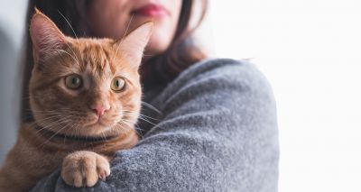 More cat owners struggling to access veterinary care