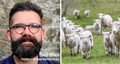 New president for Sheep Veterinary Society