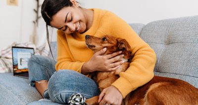 Petting dogs increases emotional arousal