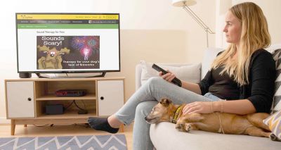 Dogs Trust advises owners on fireworks