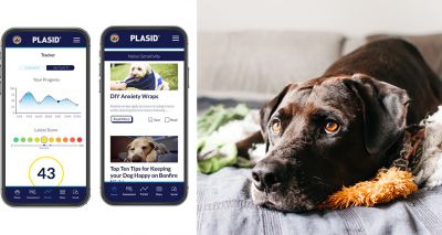 App helps pet owners identify cognitive issues