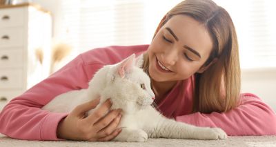 Cats can tell when being spoken to