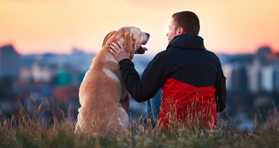 Study reveals insights into “parenting” style on dog behaviour