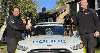 Police dogs honoured for crime-fighting efforts