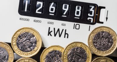 Vets urge UK government to extend energy bill support