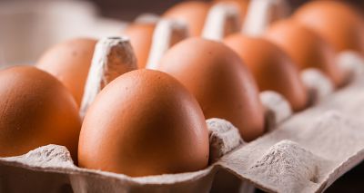 Annual EggTrack report highlights global progress