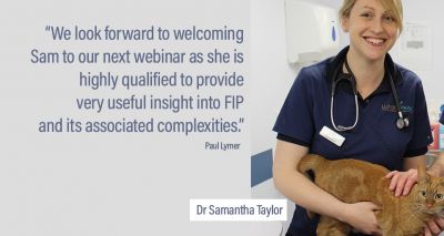 Free webinar to explore feline infectious peritonitis