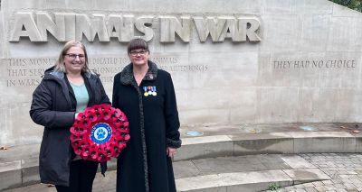 Animal organisations mark Remembrance Day