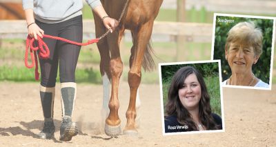 World Horse Welfare announces webinar series