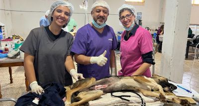 Mayhew trains vets in reproductive surgery in Algiers