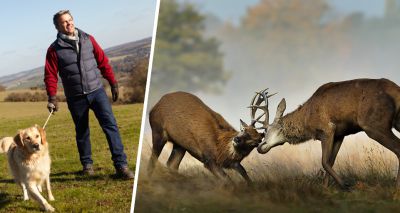 Dog owner warning over deer rutting season