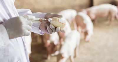 Veterinary antibiotic sales fall to lowest recorded level